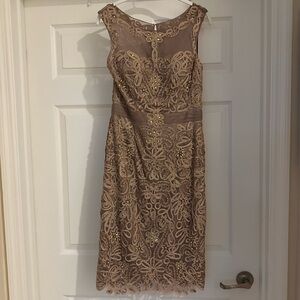 NWT Dynasty London Elegant Lace Sleeveless Dress Champagne Rose